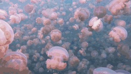 此生必去最美的地方,此生必去的四个海