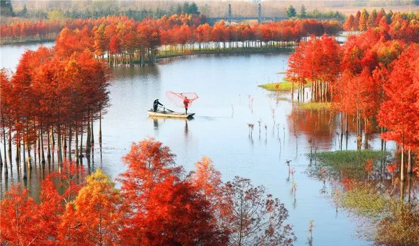 淮安哪里有龙虾之都,淮安龙虾之乡