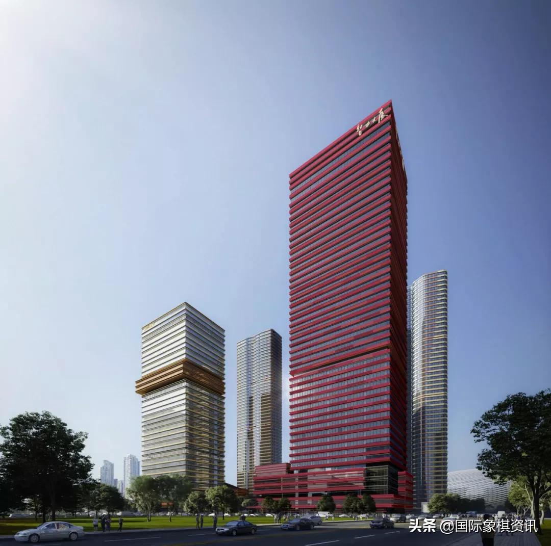 国际象棋裁判员,中国国际象棋协会训练技术委员会