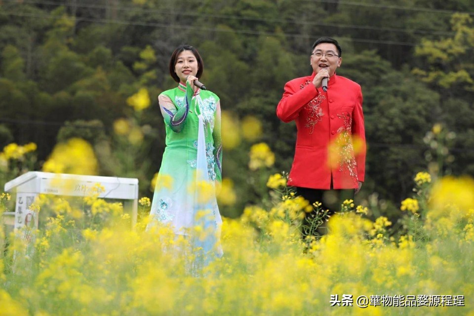 江西婺源油菜花音乐节,婺源油菜花文化节