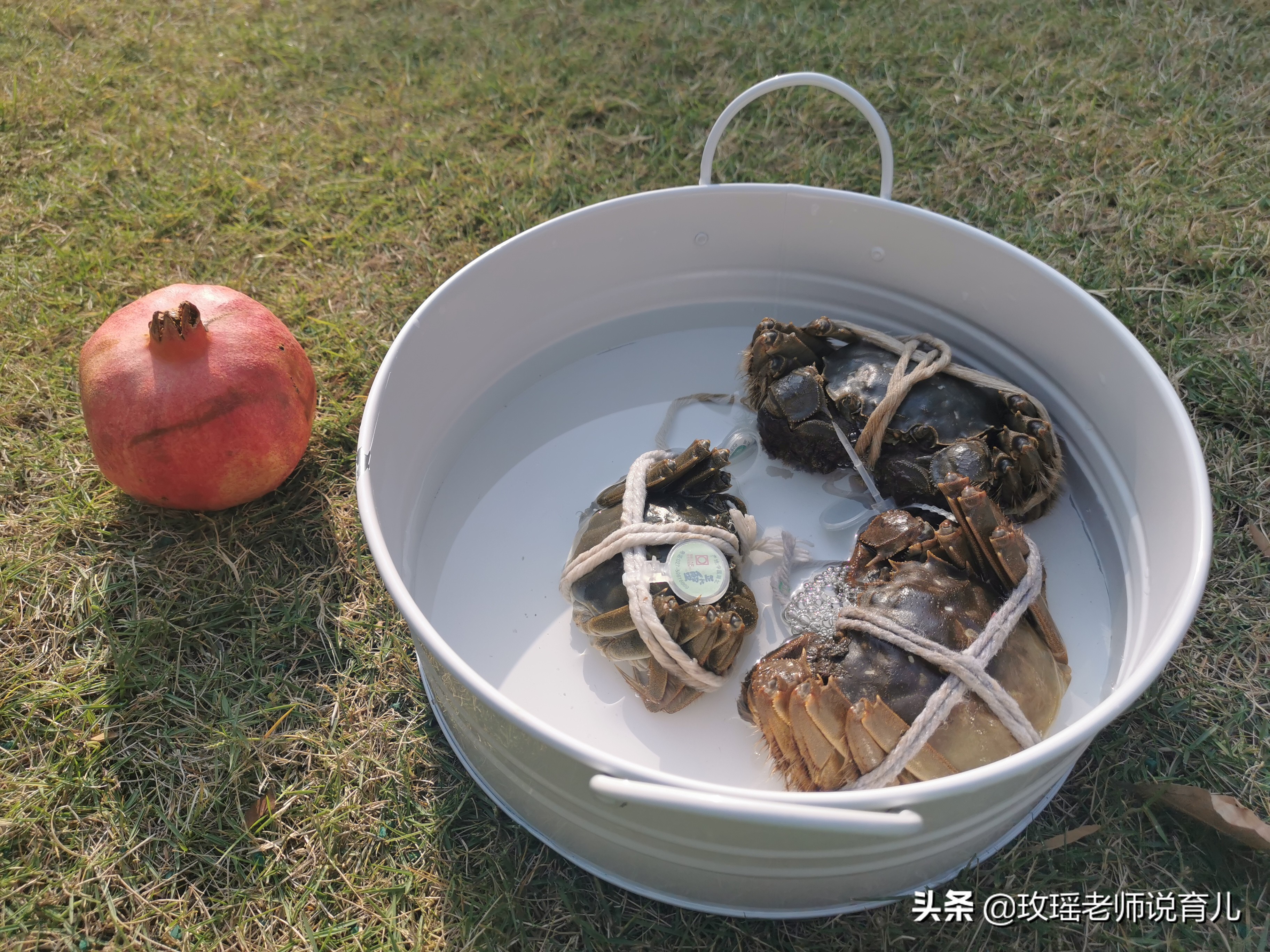 蒙氏妈妈的心声,宝宝有必要上蒙特梭利幼儿园吗