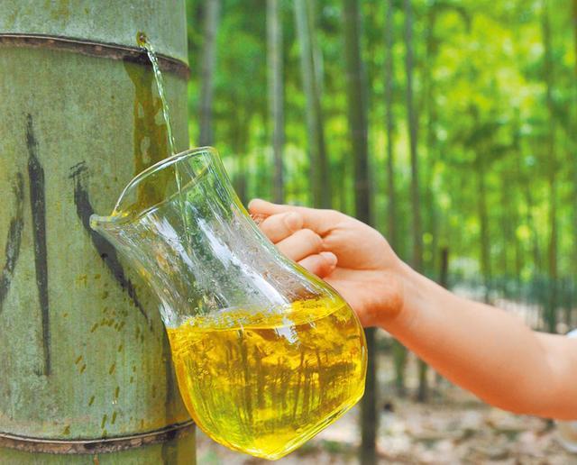 曾经很火的竹筒酒,竹子灌酒竹子还能活吗