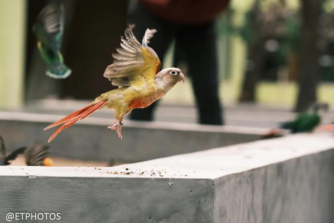 万元左右相机是选单反还是微单,万元以内适合拍妹子的微单