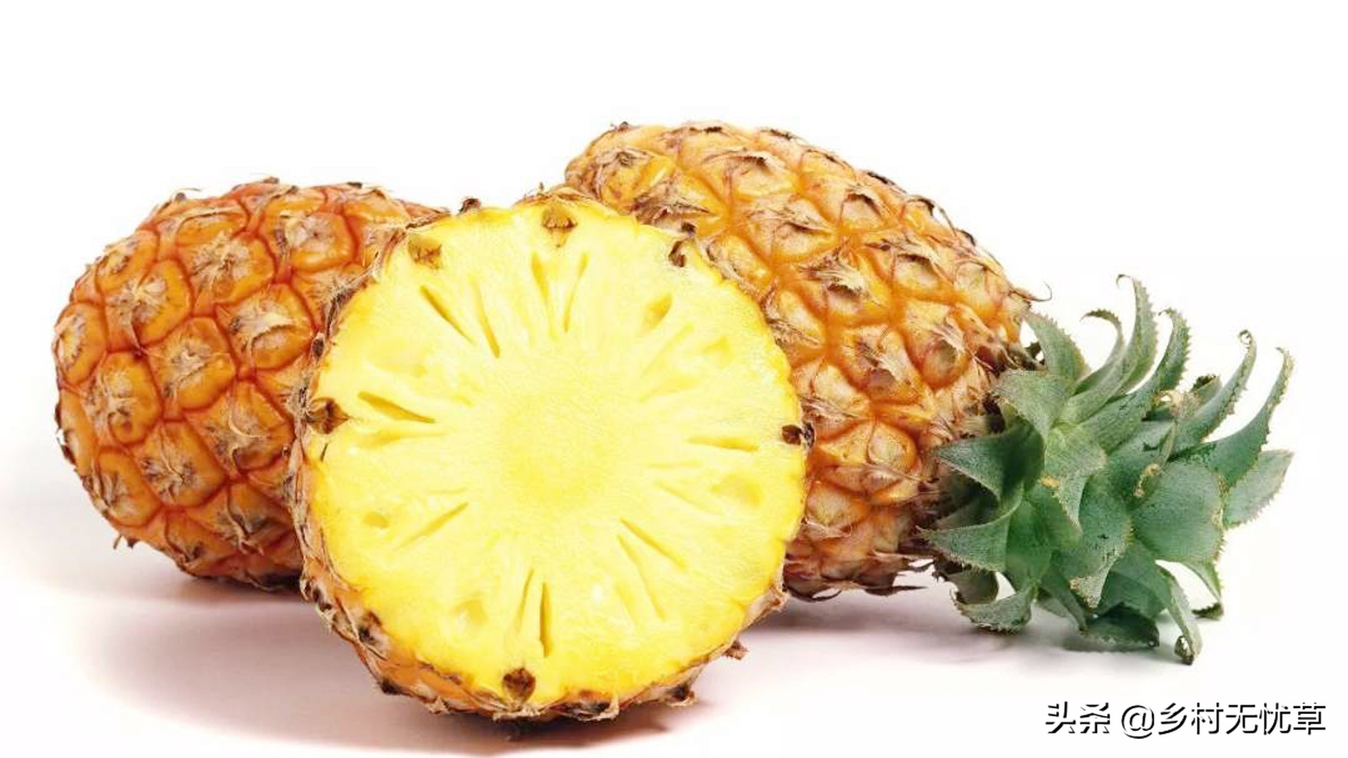 这6种水果可以放开了吃,正是当下时令水果,既新鲜还便宜