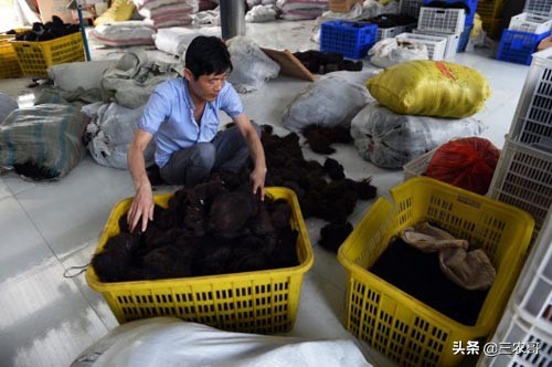 农村现在挣钱的门路有哪些,农村赚钱三个门路