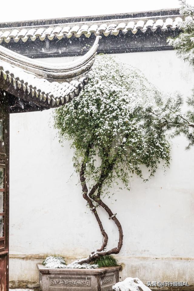 苏州园林狮子林附近,苏州园林之狮子林赏析