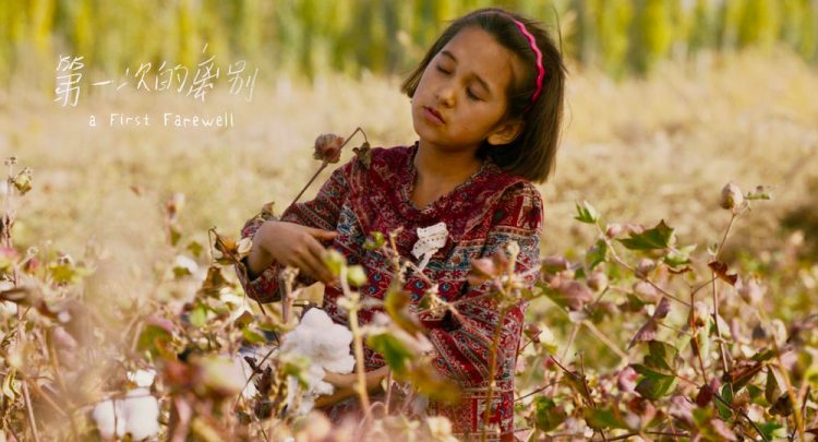 柏林苍穹下电影插曲,柏林苍穹下剧情解析