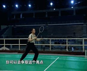 金秋诗画（学羽精华33.发力技巧）