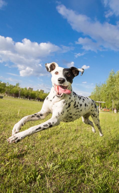 letsgo带你去兜风,letsgo旅行视频