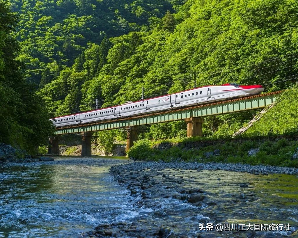 3日行走舞女激情步道体验伊豆万千浪漫