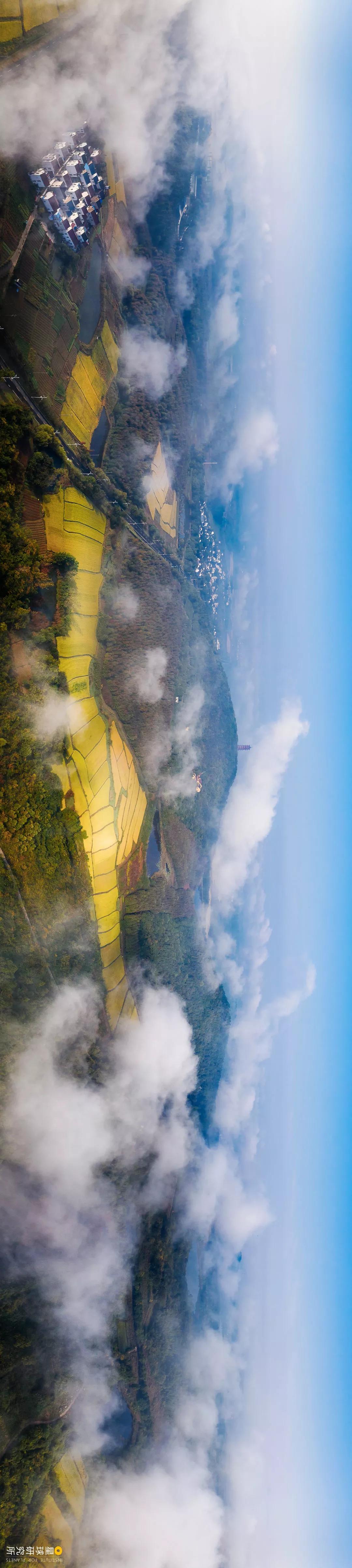 南京高淳哪个区发展最好,南京高淳值得去的风景区免费