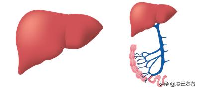 艾滋病都从哪些途径可以传染,艾滋病一旦被传染会有什么症状