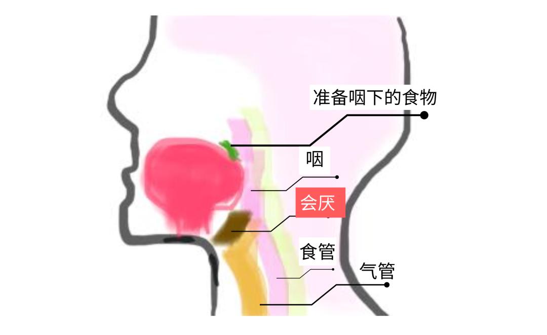 喉咙痛了两天突然之间封喉,感觉喉咙要被封喉