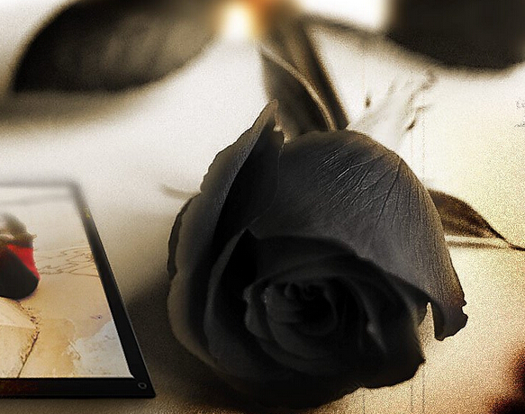 鏃ユ湰鎶よ偆鍝佽吹濡囧搧鐗宲ola (pola鏄吹濡囩骇鎶よ偆鍝佸悧)