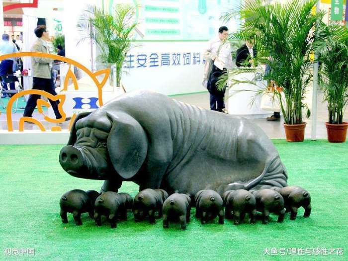 冷门专业中的高薪专业就业率高,对于选择冷门专业的看法