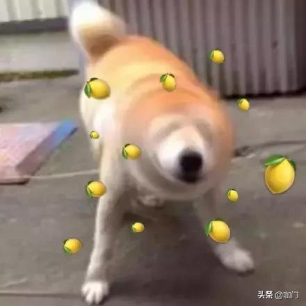 “老板，你家的挂耳咖啡怎么冲不化呢？”|咖啡馆段子最新特辑