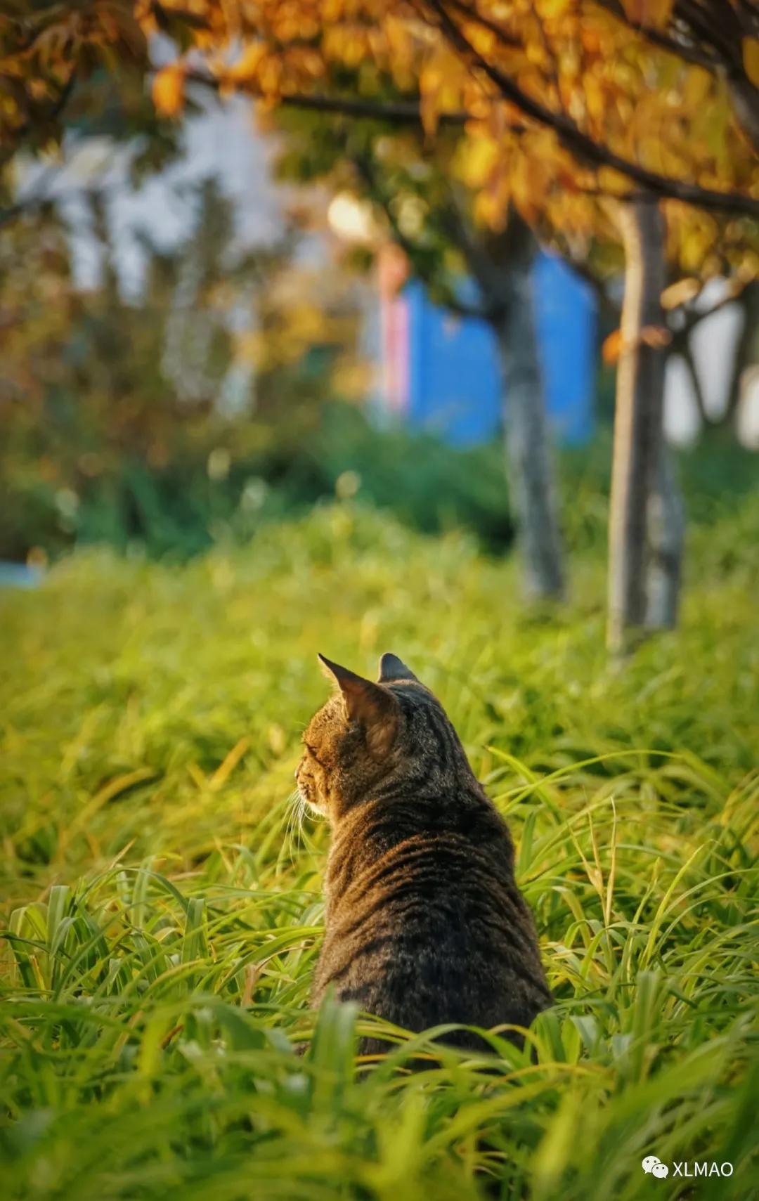 摄影爱好者的拍摄题材,一名业余摄影爱好者的简介
