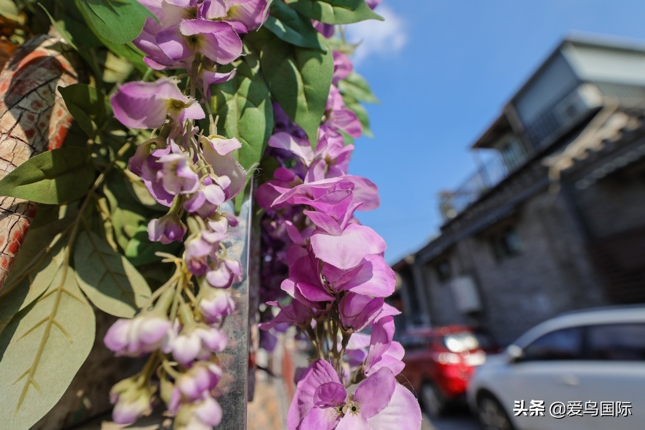 佳能eosr6详细参数曝光诚意满满,佳能发布新eosr6全画幅相机