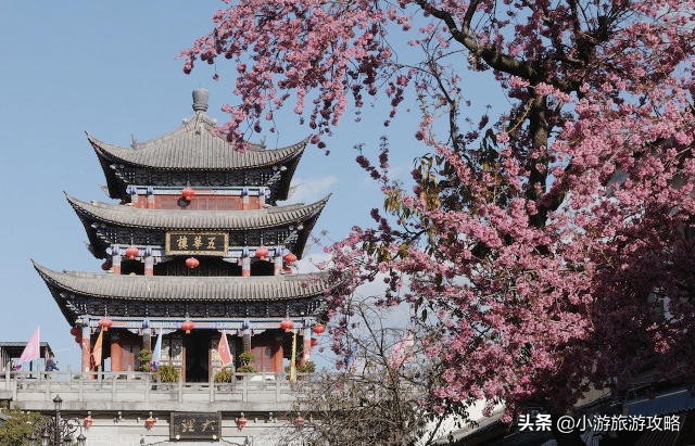 国内赏樱胜地大全,全国赏樱地图出炉共赴浪漫樱花约