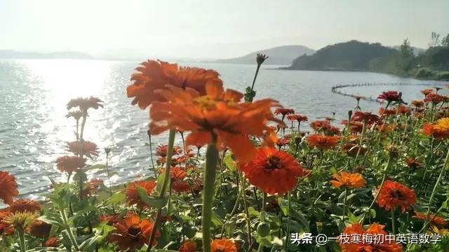 初中英语课前预习方法与技巧,初中英语必背260个知识点