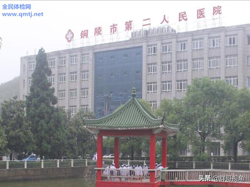 铜陵市主持人杨玺,铜陵市主题党日