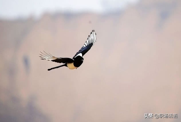 心理测试你的勾魂指数,心理测试你第一眼看什么数字