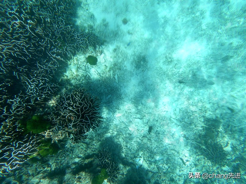 泰国普吉斯米兰跟团浮潜,泰国普吉岛自由潜水皇帝岛