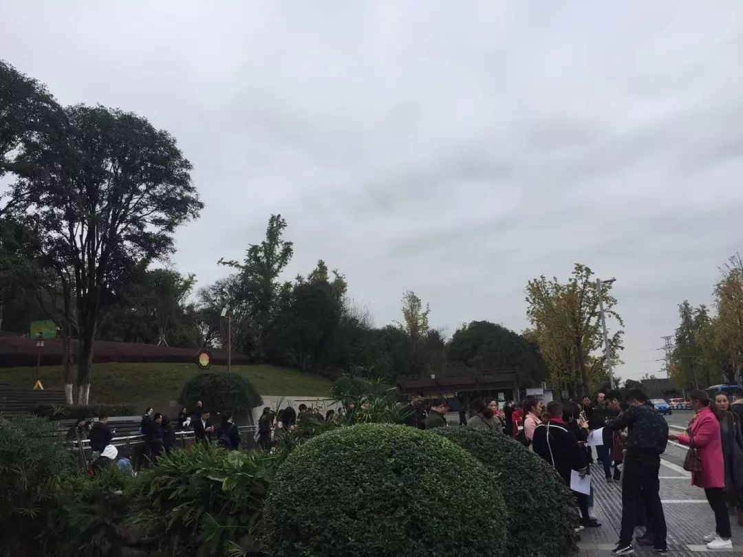 开盘快讯26盘集中入市6盘去化100%,开盘即清盘的网红神盘即将到来