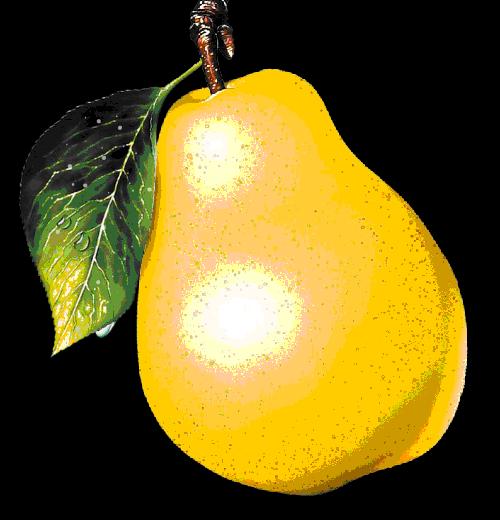 大年初三群相册，有群的都看看，太美了，这辈子见一次值了