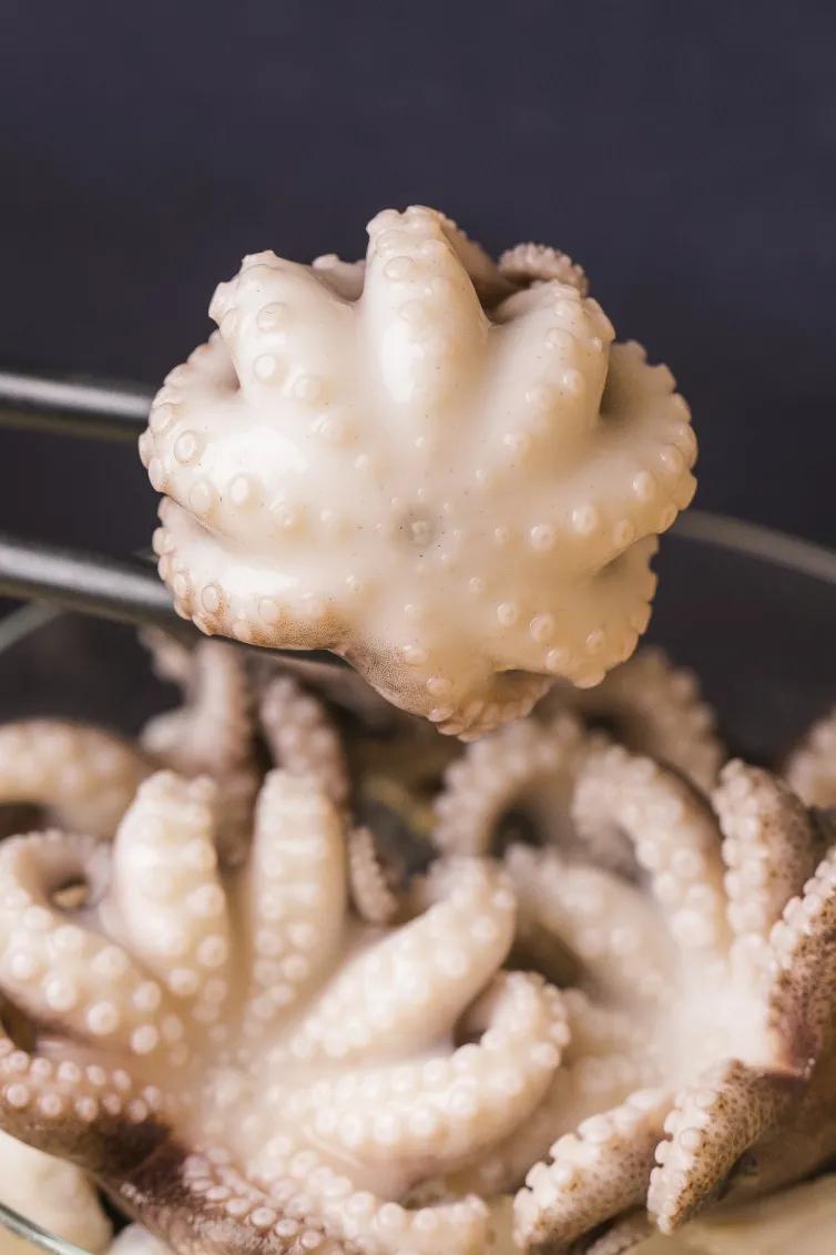 厦门沙茶海鲜面 (海鲜沙茶面厦门特产)