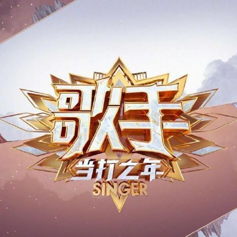 歌手当打之年幕后故事,歌手当打之年背后的故事与悲伤