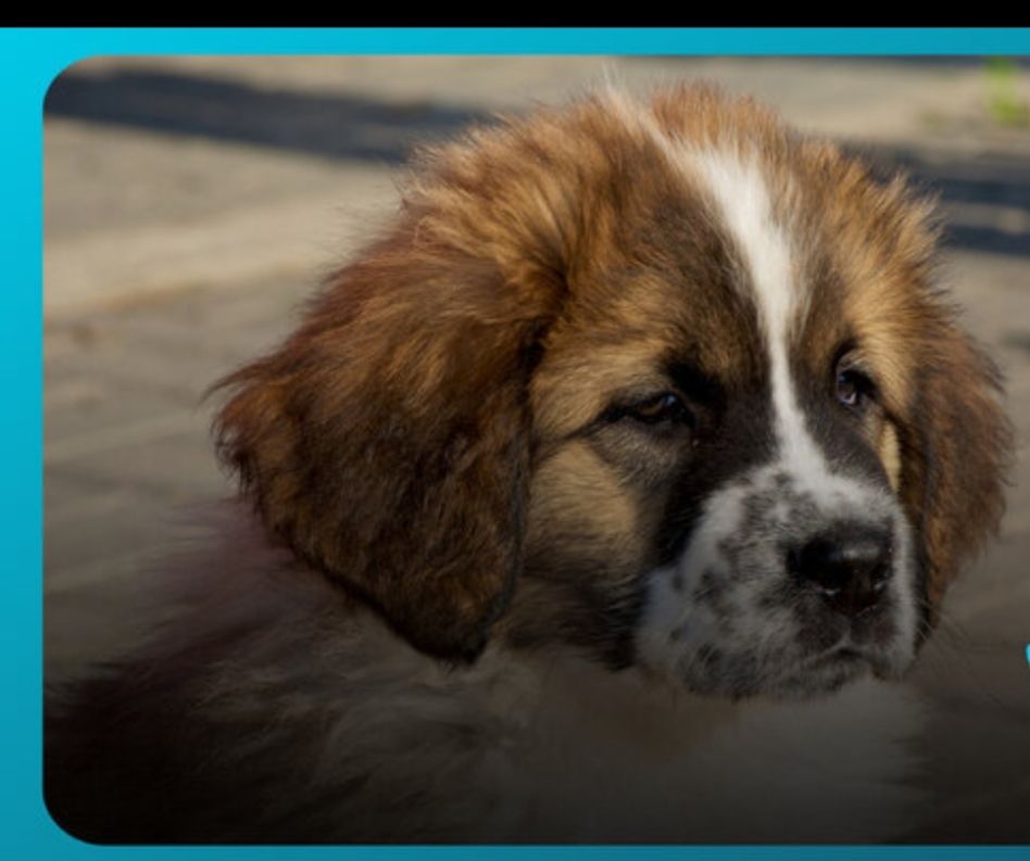 俄罗斯最著名的十大雕塑是,俄罗斯最著名的十大建筑物