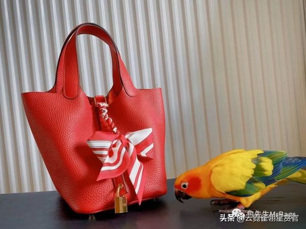 超好看的宠物包,好看又大的宠物包