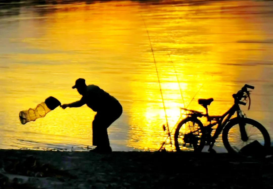 「第1期」2020年大美社群优秀作品回顾