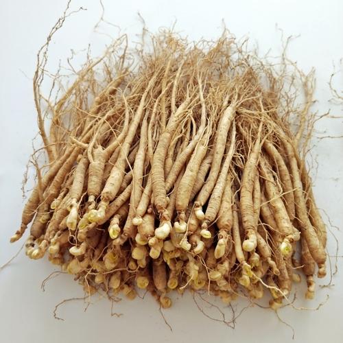 野生人参价格一般多少钱,山上有人参吗野山参价格