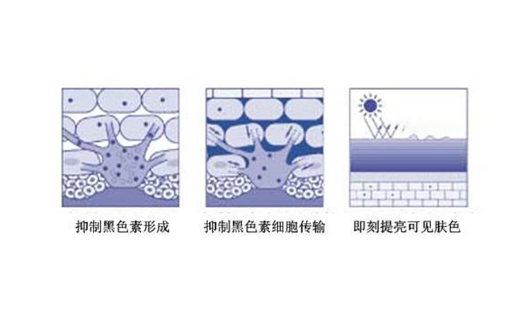 夏季混干皮如何美白,干皮美白用什么效果好女士