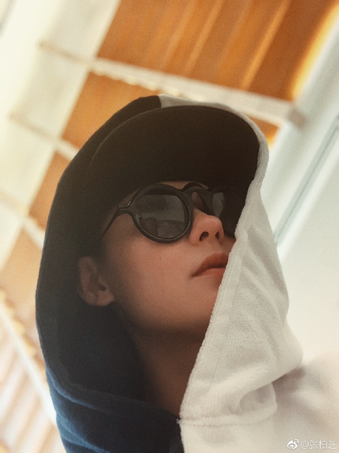 隆鼻张柏芝鼻型,浪姐张柏芝新消息