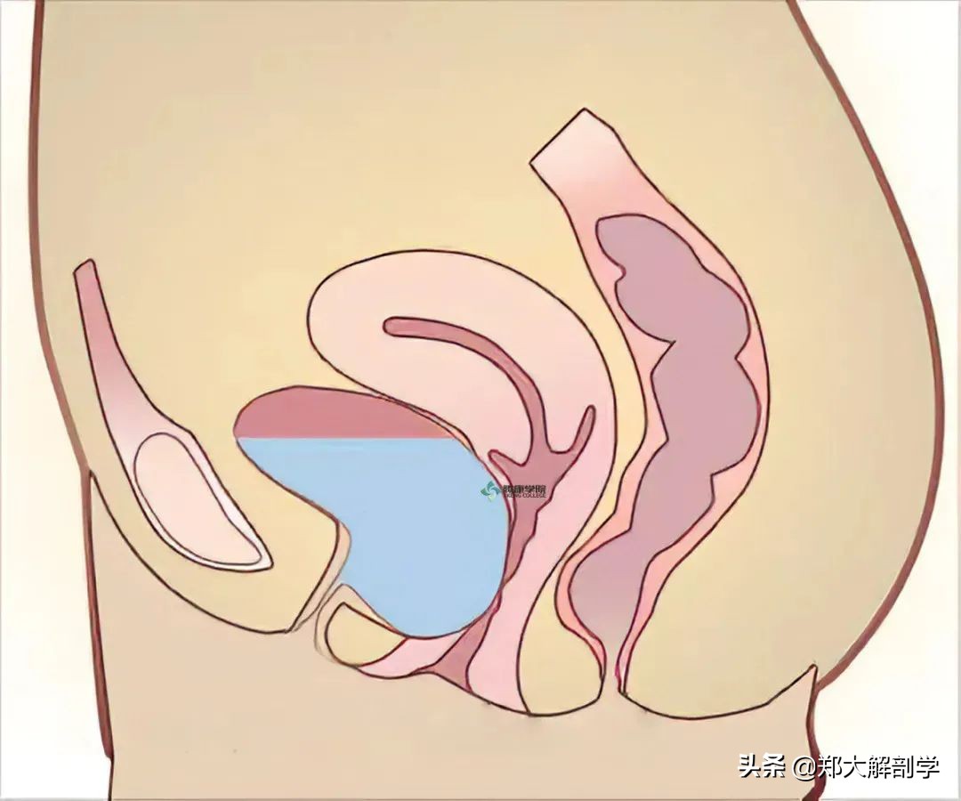 女性盆底功能障碍性疾病表现,南通治疗盆底功能障碍的医院