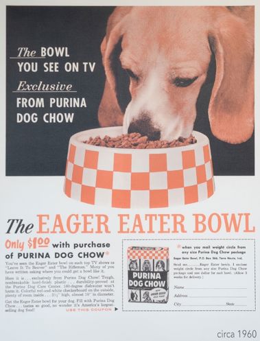 宠物消费市场千亿赛道,宠物市场分析暴涨背后