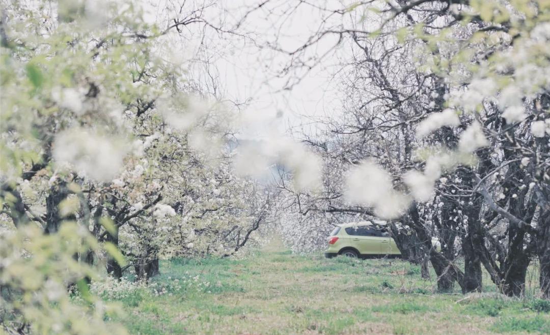 昆明亲子游自驾游攻略推荐路线,昆明周末亲子游十大好去处