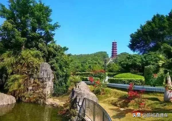 深圳60个最适合一日免费景点,暑假深圳旅游必去十大景点