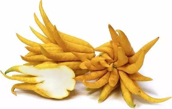 世界这么大你知道有几种水果吗,世界上都有哪些可以吃的水果