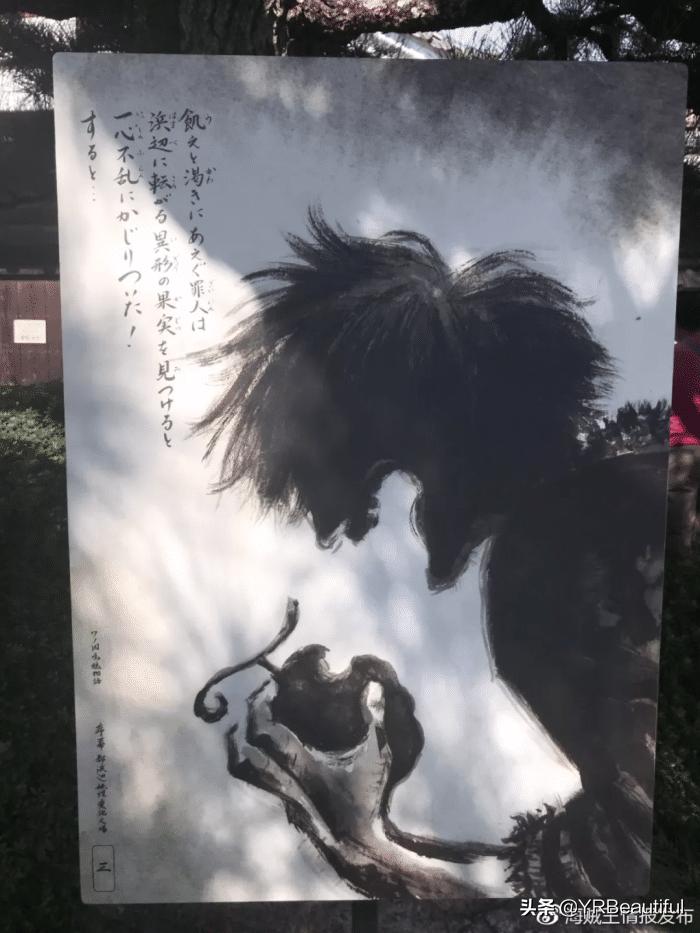 2023恶魔果实图鉴大全,最全恶魔果实图鉴