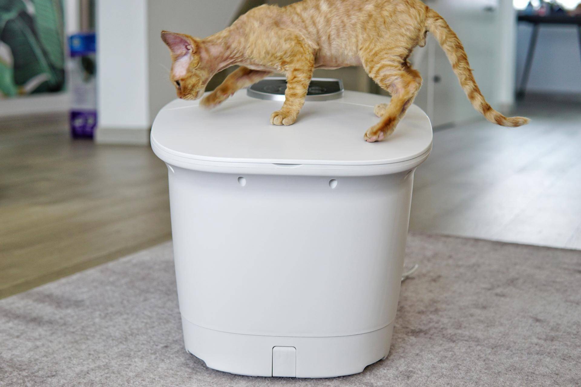 足浴泡脚桶有作用嘛,蓓慈大白泡脚桶使用教程