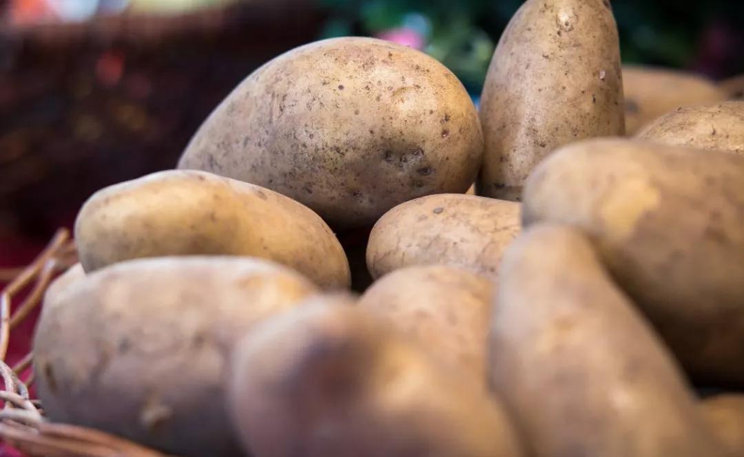 发芽土豆去掉芽炸熟能吃吗,发芽土豆就算削了皮还能吃吗