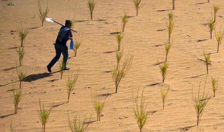 蚂蚁森林是国家出钱还是马云出钱,马云的蚂蚁森林现在进展怎么样了