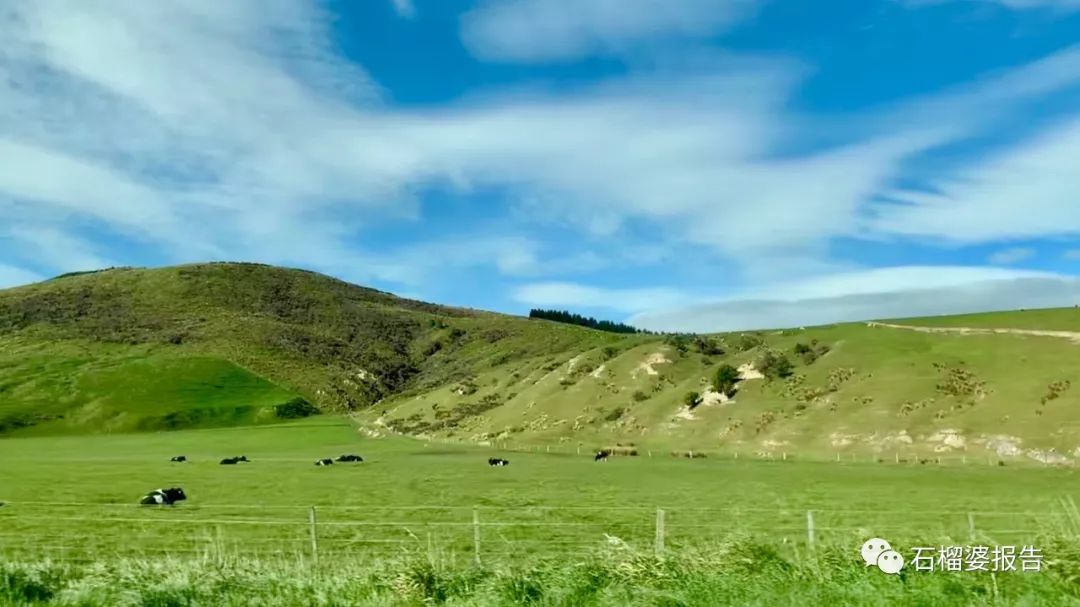 旅行7天,七天游记的视频在线观看全集高清