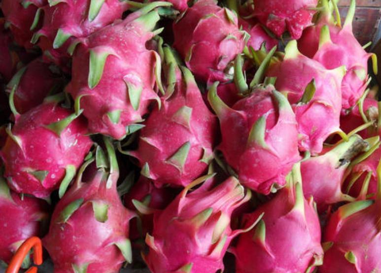 买火龙果要掰刺吗,火龙果怎么买才不会甜