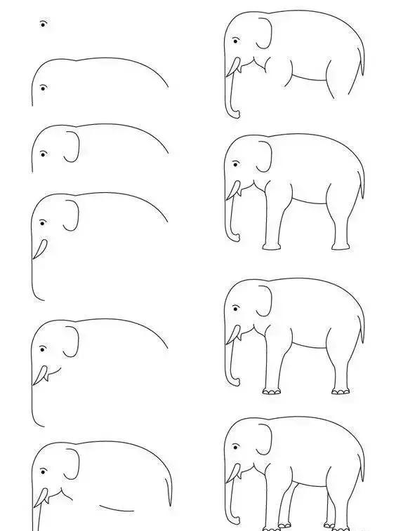 1-10数字动物简笔画图片大全,简笔画小动物100种可爱海底动物