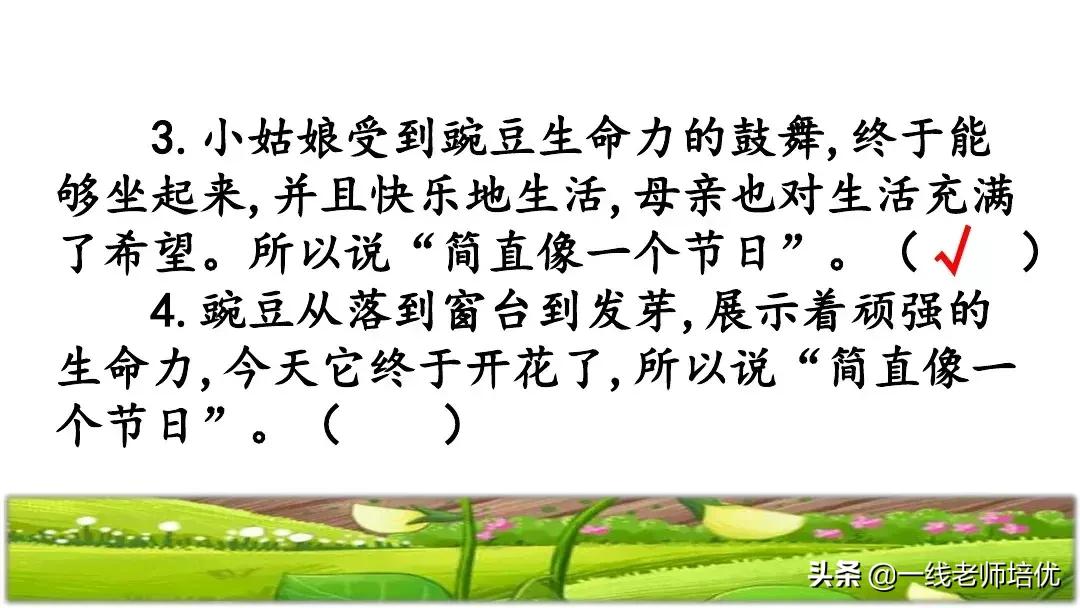 四年级上册豆荚里的五粒豆笔记,一个豆荚里的五粒豆四年级课文